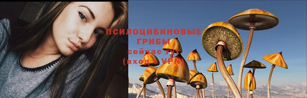 каннабис Аркадак
