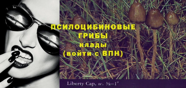 каннабис Арсеньев