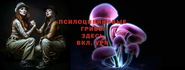 герыч Ладушкин