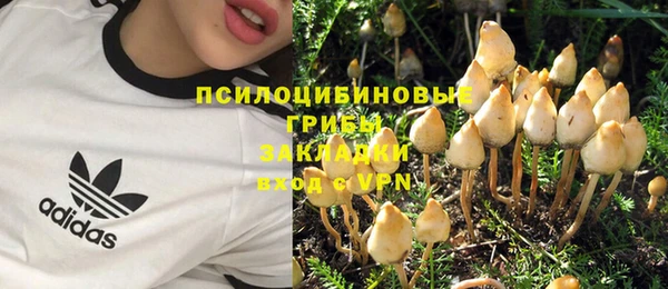 каннабис Арсеньев