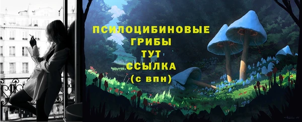 каннабис Арсеньев